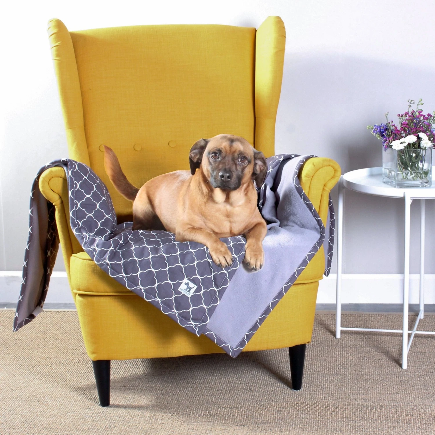 Molly Mutt Clark Gable Dog & Cat Blanket, Grey 4 Molly Mutt Clark Gable Dog & Cat Blanket, Grey - Image 2