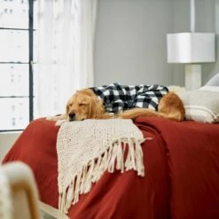 Wagatude Black Buffalo Plaid Dog Pajama 11 Wagatude Black Buffalo Plaid Dog Pajama -Blue Buffalo || ROYAL CANIN || Wellness Sales 228071 PT4. AC SS1800 V1637645494