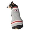 Chilly Dog Squirrel Patrol Wool Dog Sweater -Blue Buffalo || ROYAL CANIN || Wellness Sales 228340 MAIN. AC SS1800 V1595875272