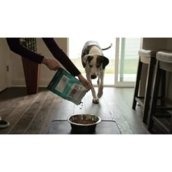 BIXBI RAWBBLE Fresh Pork Recipe Limited Ingredient Grain-Free Dry Dog Food -Blue Buffalo || ROYAL CANIN || Wellness Sales 228748 PT5. AC SS1800 V1607037438
