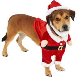 Frisco Front Walking Santa Dog & Cat Costume, 1 Count -Blue Buffalo || ROYAL CANIN || Wellness Sales 228785 PT3. AC SS1800 V1631300866