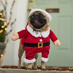 Frisco Front Walking Santa Dog & Cat Costume, 1 Count -Blue Buffalo || ROYAL CANIN || Wellness Sales 228785 PT7. AC SS1800 V1601560869