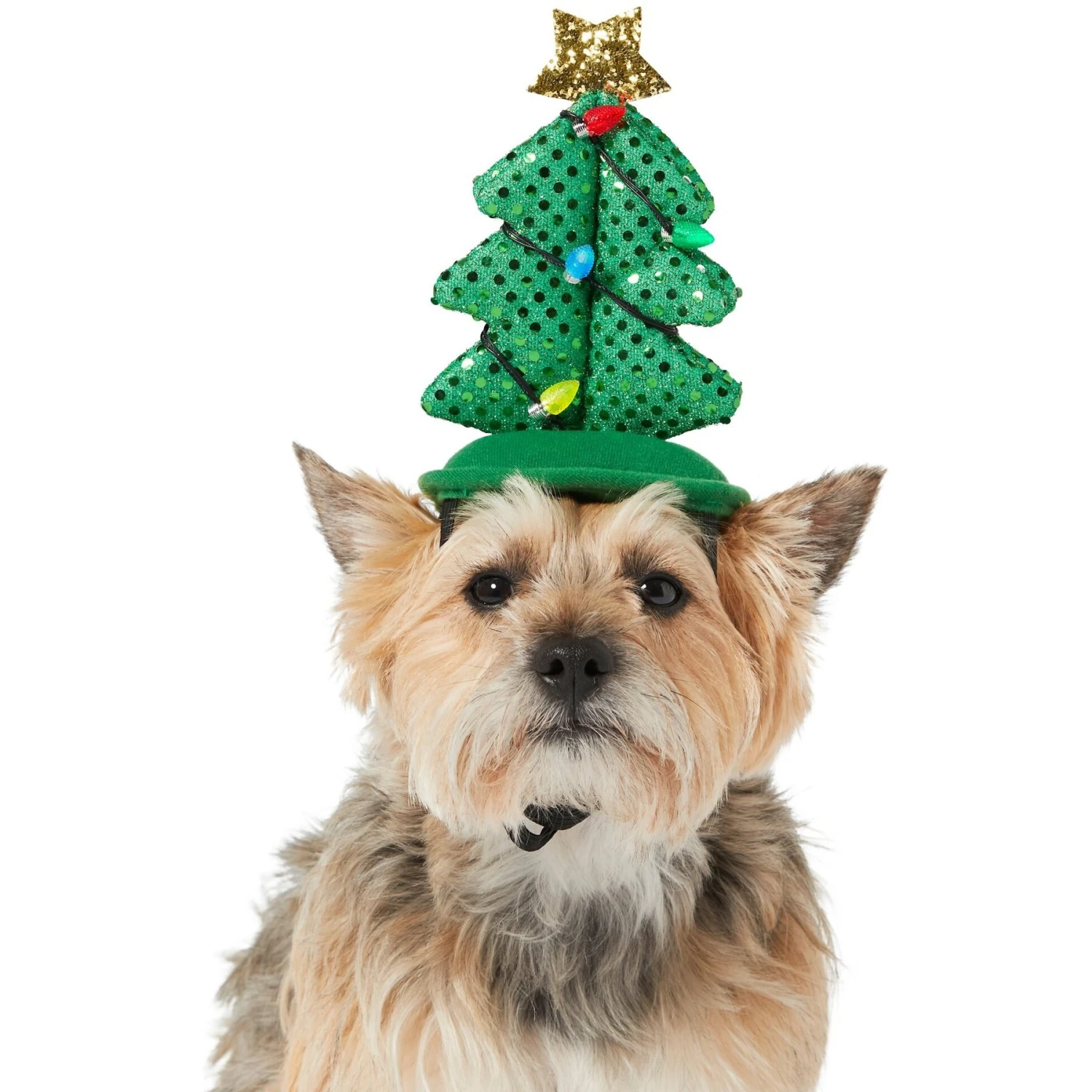 Frisco Christmas Tree LED Dog & Cat Headpiece 3 Frisco Christmas Tree LED Dog & Cat Headpiece