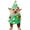 Frisco Front Walking Christmas Tree Dog & Cat Costume 2 Frisco Front Walking Christmas Tree Dog & Cat Costume -Blue Buffalo || ROYAL CANIN || Wellness Sales 229164 MAIN. AC SS1800 V1631300529