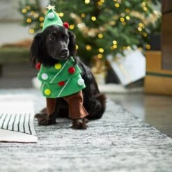 Frisco Front Walking Christmas Tree Dog & Cat Costume -Blue Buffalo || ROYAL CANIN || Wellness Sales 229164 PT7. AC SS1800 V1601385981