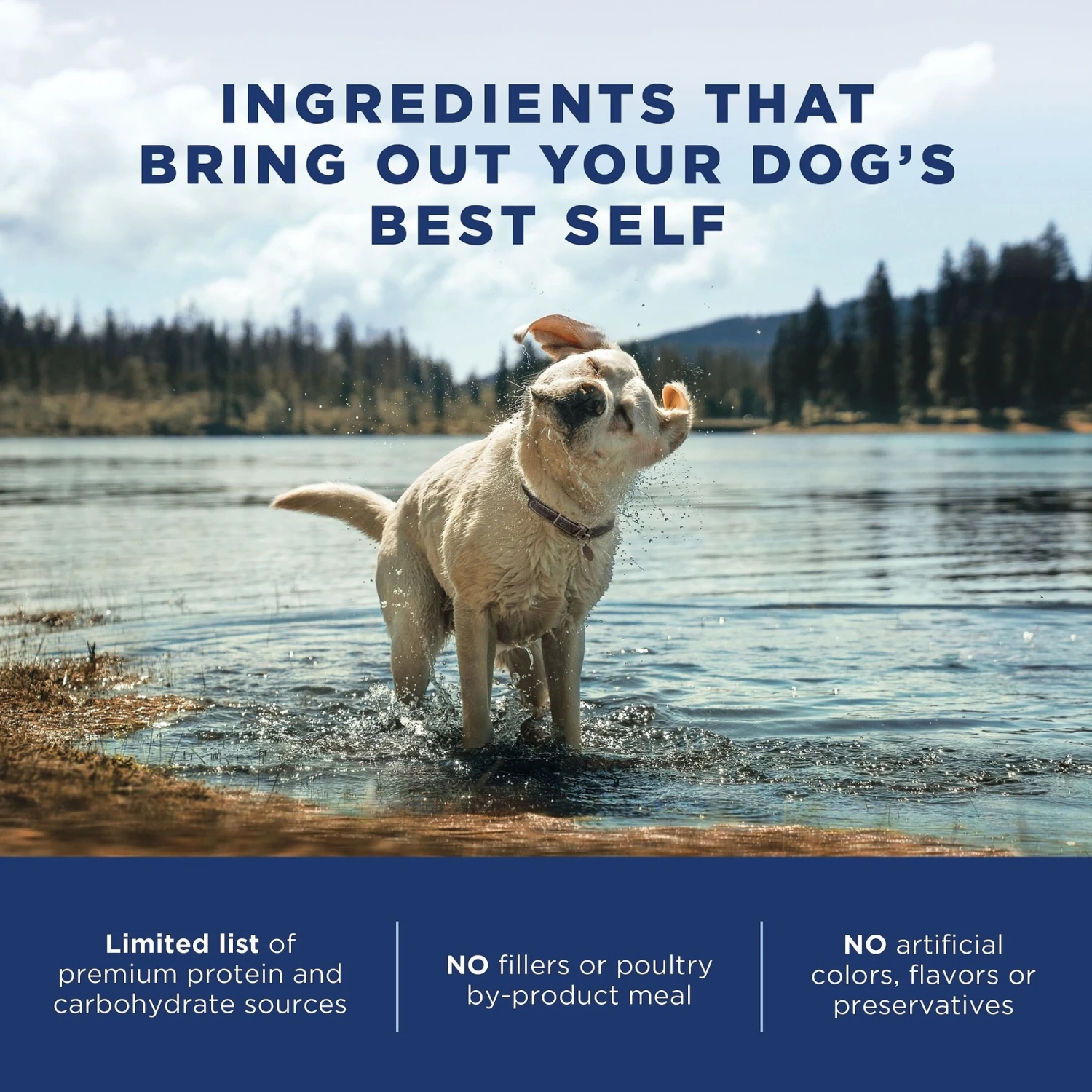 Natural Balance L.I.D. Limited Ingredient Diets Chicken & Sweet Potato Formula Small Breed Bites Grain-Free Dry Dog Food 7 Natural Balance L.I.D. Limited Ingredient Diets Chicken & Sweet Potato Formula Small Breed Bites Grain-Free Dry Dog Food - Image 5