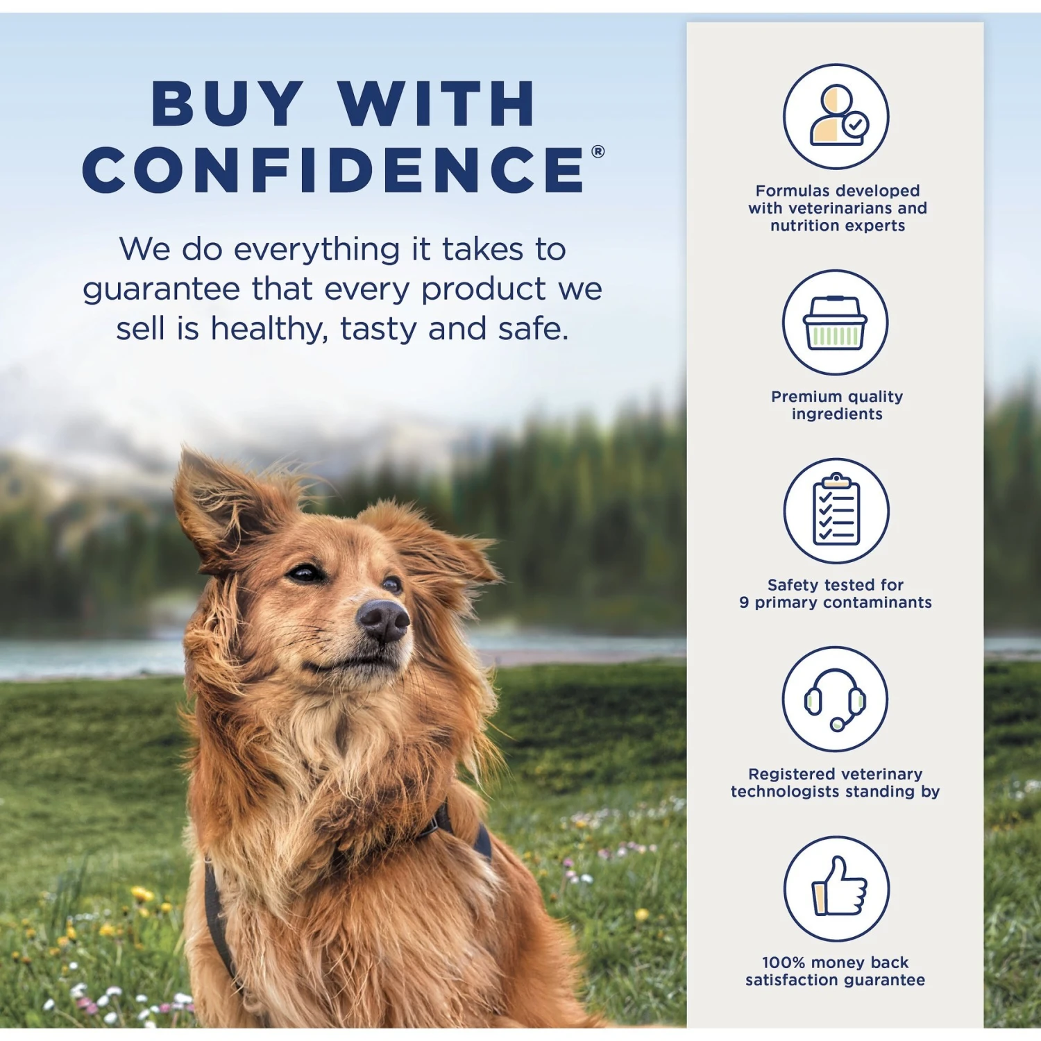 Natural Balance L.I.D. Limited Ingredient Diets Chicken & Sweet Potato Formula Small Breed Bites Grain-Free Dry Dog Food 9 Natural Balance L.I.D. Limited Ingredient Diets Chicken & Sweet Potato Formula Small Breed Bites Grain-Free Dry Dog Food - Image 7