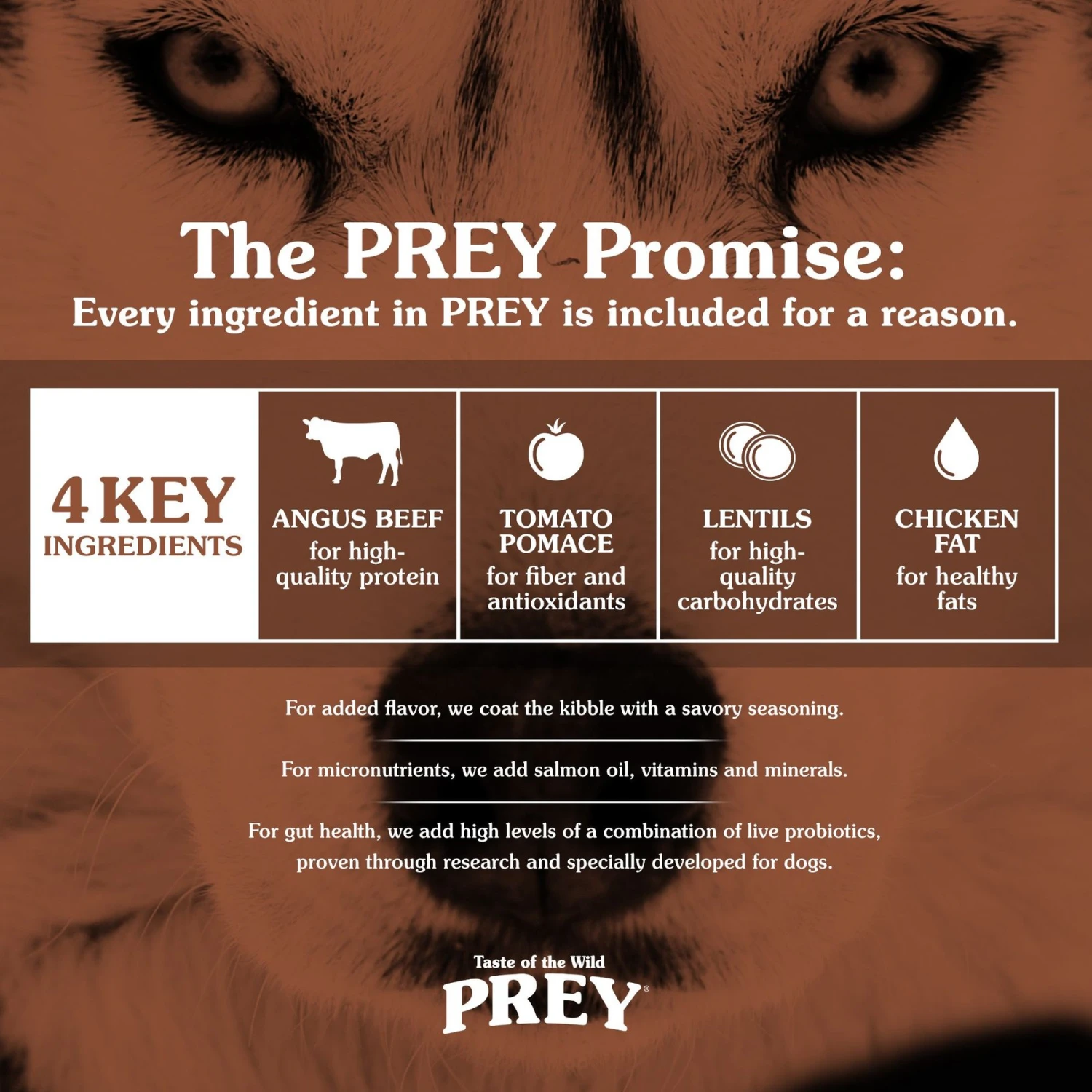 Taste Of The Wild PREY Angus Beef Recipe Limited Ingredient Recipe Dry Dog Food 7 Taste Of The Wild PREY Angus Beef Recipe Limited Ingredient Recipe Dry Dog Food - Image 5