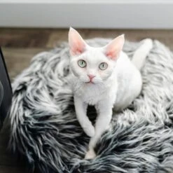 Mau Lifestyle Fluffi Donut Dog & Cat Bed -Blue Buffalo || ROYAL CANIN || Wellness Sales 230606 PT2. AC SS1800 V1603410116