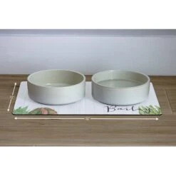 904 Custom Cactus Personalized Dog & Cat Placemat -Blue Buffalo || ROYAL CANIN || Wellness Sales 230924 PT2. AC SS1800 V1636416142