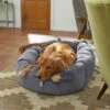 Frisco Velvet Round Bolster Dog Bed W/Removable Cover -Blue Buffalo || ROYAL CANIN || Wellness Sales 232178 MAIN. AC SS1800 V1602013291