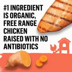 Purina Beyond Organic Chicken & Sweet Potato Recipe Wet Dog Food, 13-oz Can, Case Of 12 14 Purina Beyond Organic Chicken & Sweet Potato Recipe Wet Dog Food, 13-oz Can, Case Of 12 -Blue Buffalo || ROYAL CANIN || Wellness Sales 233687 PT3. AC SS1800 V1700162080