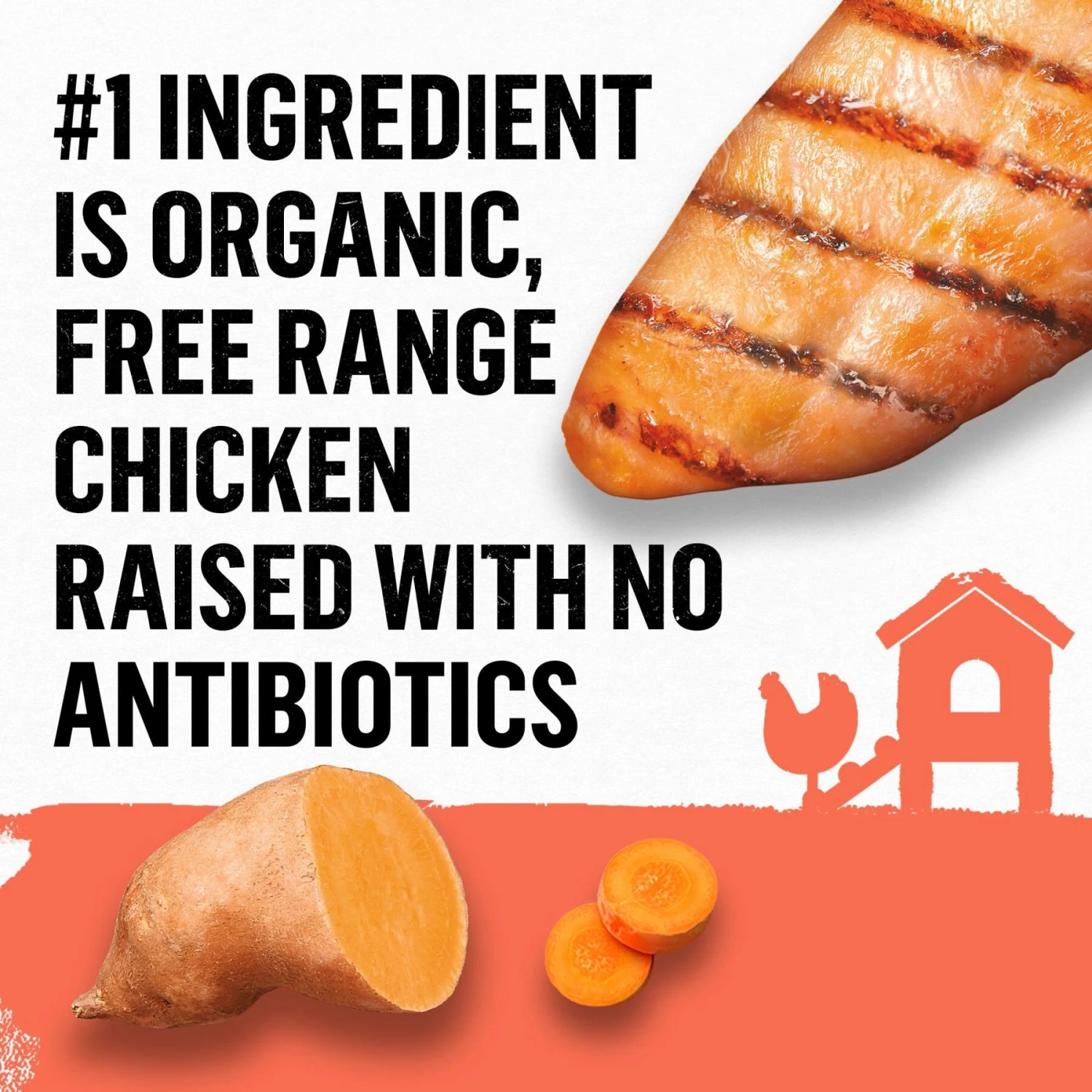 Purina Beyond Organic Chicken & Sweet Potato Recipe Wet Dog Food, 13-oz Can, Case Of 12 6 Purina Beyond Organic Chicken & Sweet Potato Recipe Wet Dog Food, 13-oz Can, Case Of 12 - Image 4