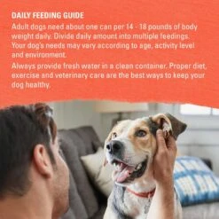 Purina Beyond Organic Chicken & Sweet Potato Recipe Wet Dog Food, 13-oz Can, Case Of 12 19 Purina Beyond Organic Chicken & Sweet Potato Recipe Wet Dog Food, 13-oz Can, Case Of 12 -Blue Buffalo || ROYAL CANIN || Wellness Sales 233687 PT8. AC SS1800 V1700158640