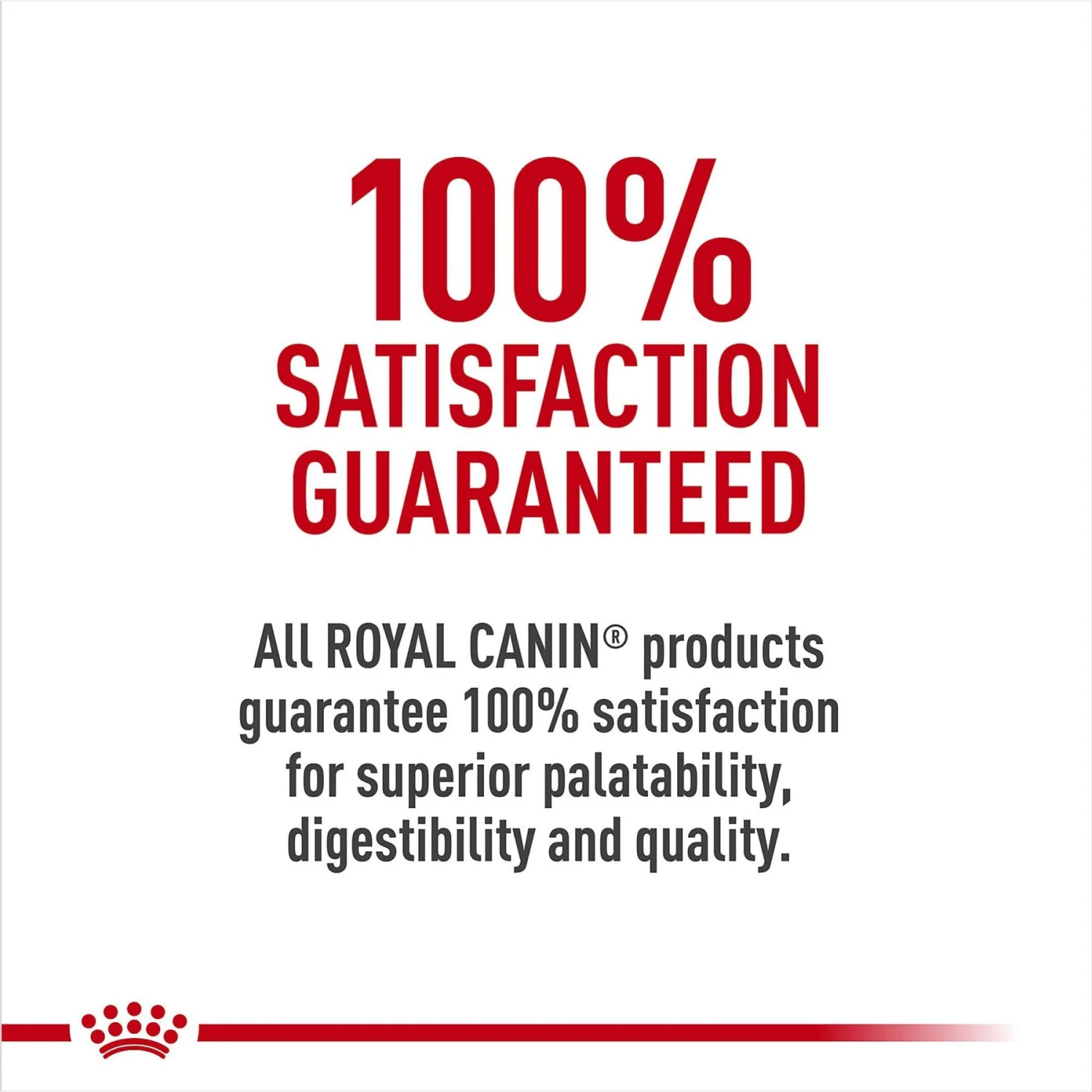 Royal Canin Breed Health Nutrition Pomeranian Adult Dry Dog Food 8 Royal Canin Breed Health Nutrition Pomeranian Adult Dry Dog Food - Image 6