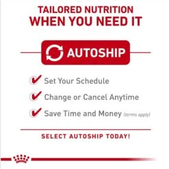 Royal Canin Breed Health Nutrition Pomeranian Adult Loaf In Sauce Canned Dog Food -Blue Buffalo || ROYAL CANIN || Wellness Sales 234005 PT4. AC SS1800 V1696614257