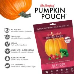 Grandma Lucy's Pumpkin Pouch Bladder Freeze-Dried Dog & Cat Food Topper, 6-oz Bag 12 Grandma Lucy's Pumpkin Pouch Bladder Freeze-Dried Dog & Cat Food Topper, 6-oz Bag -Blue Buffalo || ROYAL CANIN || Wellness Sales 234288 PT2. AC SS1800 V1676647653