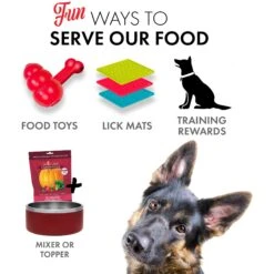 Grandma Lucy's Pumpkin Pouch Bladder Freeze-Dried Dog & Cat Food Topper, 6-oz Bag 15 Grandma Lucy's Pumpkin Pouch Bladder Freeze-Dried Dog & Cat Food Topper, 6-oz Bag -Blue Buffalo || ROYAL CANIN || Wellness Sales 234288 PT5. AC SS1800 V1676647653