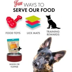 Grandma Lucy's Pumpkin Pouch Skin & Coat Freeze-Dried Dog & Cat Food Topper, 6-oz Bag -Blue Buffalo || ROYAL CANIN || Wellness Sales 234290 PT5. AC SS1800 V1676646876