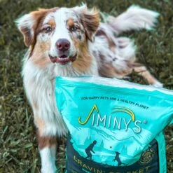 Jiminy's Cravin' Cricket Dry Dog Food -Blue Buffalo || ROYAL CANIN || Wellness Sales 234569 PT6. AC SS1800 V1588953764