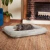 Frisco Orthopedic Personalized Bolster Dog Bed W/Removable Cover, Light Gray -Blue Buffalo || ROYAL CANIN || Wellness Sales 234952 MAIN. AC SS1800 V1600207055