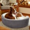 Frisco Bolster Cat & Dog Bed 1 Frisco Bolster Cat & Dog Bed -Blue Buffalo || ROYAL CANIN || Wellness Sales 235034 MAIN. AC SS1800 V1602690455