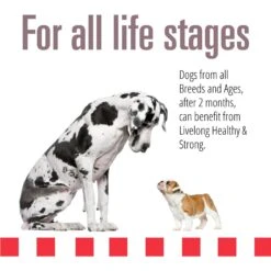 Livelong Healthy & Strong Bison/Buffalo & Sweet Potato Recipe Wet Dog Food, 12.8-oz Can, Case Of 12 11 Livelong Healthy & Strong Bison/Buffalo & Sweet Potato Recipe Wet Dog Food, 12.8-oz Can, Case Of 12 -Blue Buffalo || ROYAL CANIN || Wellness Sales 235068 PT3. AC SS1800 V1589915466