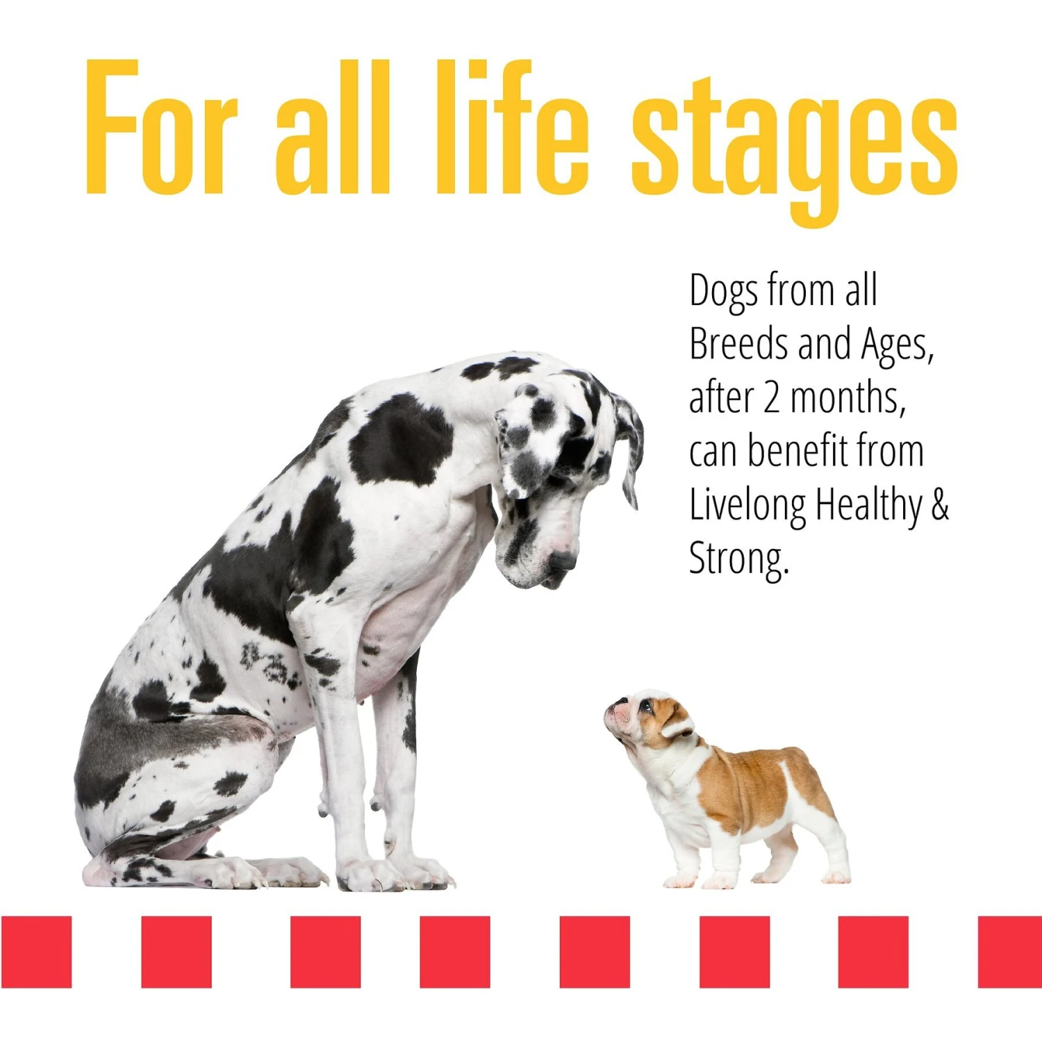 Livelong Healthy & Strong Duck & Sweet Potato Recipe Wet Dog Food, 12.5-oz Can, Case Of 12 6 Livelong Healthy & Strong Duck & Sweet Potato Recipe Wet Dog Food, 12.5-oz Can, Case Of 12 - Image 4