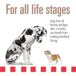 Livelong Healthy & Strong Pork & Sweet Potato Recipe Wet Dog Food, 12.5-oz Can, Case Of 12 -Blue Buffalo || ROYAL CANIN || Wellness Sales 235072 PT3. AC SS1800 V1589915496