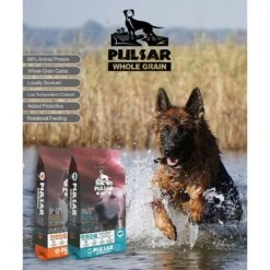 Horizon Pulsar Whole Grain Pork Recipe Dry Dog Food -Blue Buffalo || ROYAL CANIN || Wellness Sales 235342 PT3. AC SS1800 V1607995364