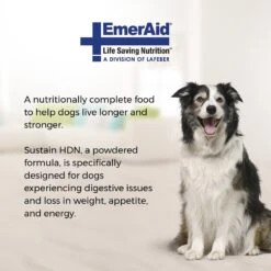 Lafeber EmerAid Sustain HDN Senior Dog Food -Blue Buffalo || ROYAL CANIN || Wellness Sales 236280 PT2. AC SS1800 V1591814768