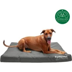 FurHaven Deluxe Oxford Orthopedic Indoor/Outdoor Dog & Cat Bed With Removable Cover -Blue Buffalo || ROYAL CANIN || Wellness Sales 238773 PT3. AC SS1800 V1606359131