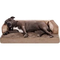 FurHaven Plush & Velvet Orthopedic Comfy Couch Dog & Cat Bed 15 FurHaven Plush & Velvet Orthopedic Comfy Couch Dog & Cat Bed -Blue Buffalo || ROYAL CANIN || Wellness Sales 244395 PT4. AC SS1800 V1669928994