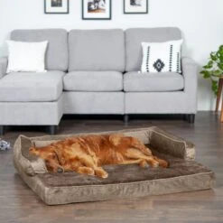 FurHaven Plush & Velvet Memory Foam Comfy Couch Dog & Cat Bed