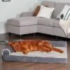 FurHaven Wave Fur & Velvet Cooling Gel Deluxe Chaise Dog & Cat Bed -Blue Buffalo || ROYAL CANIN || Wellness Sales 244465 MAIN. AC SS1800 V1601608270