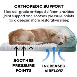 FurHaven Velvet Waves Perfect Comfort Orthopedic Sofa Cat & Dog Bed -Blue Buffalo || ROYAL CANIN || Wellness Sales 244630 PT6. AC SS1800 V1669925869