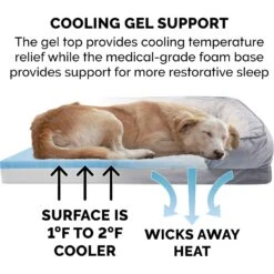 FurHaven Velvet Waves Perfect Comfort Cooling Gel Bolster Cat & Dog Bed With Removable Cover 17 FurHaven Velvet Waves Perfect Comfort Cooling Gel Bolster Cat & Dog Bed With Removable Cover -Blue Buffalo || ROYAL CANIN || Wellness Sales 244658 PT6. AC SS1800 V1602847890