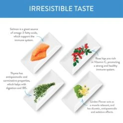 Forza10 Nutraceutic Legend Puppy Icelandic Salmon & Lamb Recipe Grain-Free Canned Dog Food -Blue Buffalo || ROYAL CANIN || Wellness Sales 245092 PT4. AC SS1800 V1597880513