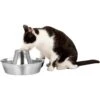 PetSafe Seaside Stainless Steel Cat Water Fountain, 60-oz -Blue Buffalo || ROYAL CANIN || Wellness Sales 247079 MAIN. AC SS1800 V1663967483