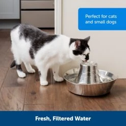 PetSafe Seaside Stainless Steel Cat Water Fountain, 60-oz -Blue Buffalo || ROYAL CANIN || Wellness Sales 247079 PT6. AC SS1800 V1663966968