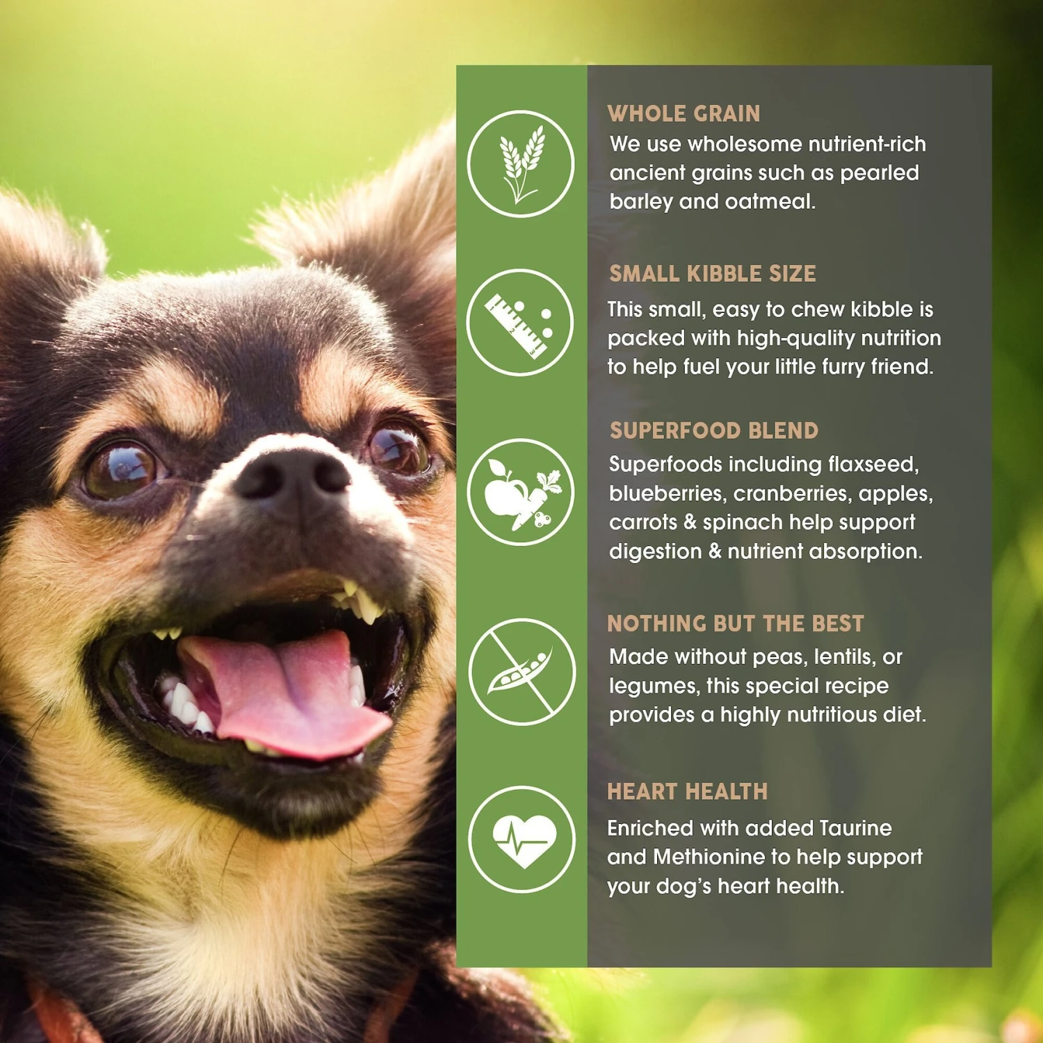 Earthborn Holistic Small Breed Dry Dog Food 7 Earthborn Holistic Small Breed Dry Dog Food - Image 5