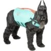 Frisco Active Dog Life Jacket -Blue Buffalo || ROYAL CANIN || Wellness Sales 247894 MAIN. AC SS1800 V1613407958