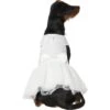 Frisco Formal Dog Wedding Dress -Blue Buffalo || ROYAL CANIN || Wellness Sales 248743 MAIN. AC SS1800 V1614118280
