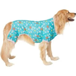 Frisco Teal Floral Dog & Cat Jersey PJs -Blue Buffalo || ROYAL CANIN || Wellness Sales 249132 PT2. AC SS1800 V1637674341