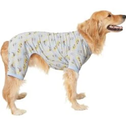 Frisco Sleepy Sloths Dog & Cat Jersey PJs -Blue Buffalo || ROYAL CANIN || Wellness Sales 249144 PT2. AC SS1800 V1632416471