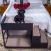 Penn-Plax Buddy Bunk Cat & Dog Bed & Step Set -Blue Buffalo || ROYAL CANIN || Wellness Sales 249625 MAIN. AC SS1800 V1695327261