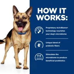 Hill's Prescription Diet Gastrointestinal Biome Chicken & Vegetable Stew Wet Dog Food 16 Hill's Prescription Diet Gastrointestinal Biome Chicken & Vegetable Stew Wet Dog Food -Blue Buffalo || ROYAL CANIN || Wellness Sales 250643 PT5. AC SS1800 V1657656388