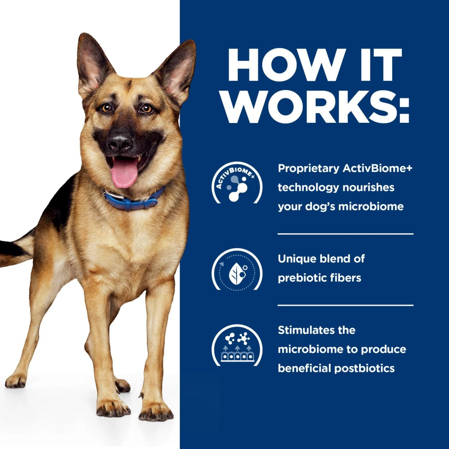 Hill's Prescription Diet Gastrointestinal Biome Chicken & Vegetable Stew Wet Dog Food 8 Hill's Prescription Diet Gastrointestinal Biome Chicken & Vegetable Stew Wet Dog Food - Image 6