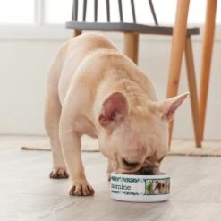 Frisco Boho Damask Ceramic Personalized Dog & Cat Bowl -Blue Buffalo || ROYAL CANIN || Wellness Sales 250833 PT3. AC SS1800 V1610758070