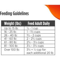 Nulo Freestyle Limited+ Turkey Recipe Grain-Free Puppy & Adult Dry Dog Food 19 Nulo Freestyle Limited+ Turkey Recipe Grain-Free Puppy & Adult Dry Dog Food -Blue Buffalo || ROYAL CANIN || Wellness Sales 251417 PT8. AC SS1800 V1667949206